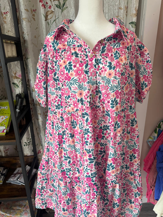 Curvy Pink Floral Dress